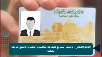 الرقم القومي.. دليلك السريع لمعرفة تفاصيل القضايا بأسرع طريقة ممكنة